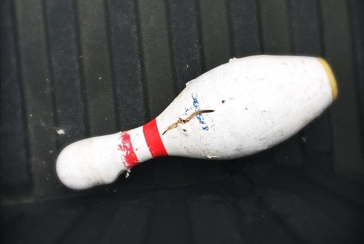 Cracked Bowling pin